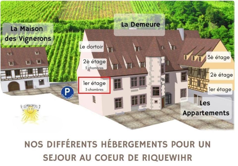 Domaine La Cour Des Nobles - Demeure, Maison Et Appartements Au Coeur De Ρικβίρ Δωμάτιο φωτογραφία